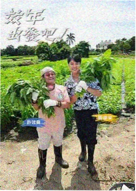 免费韩剧在线观看独居日记剧照