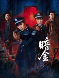沉默证人 悬疑剧全集海报