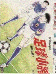 走遍四国 日韩综艺在线看
